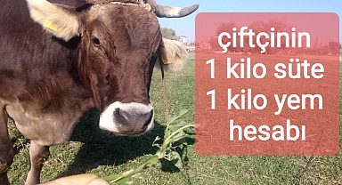 1 kilo sütle 1 kilo yem alamıyoruz