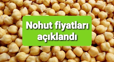 Borsalarda son nohut fiyatları paylaşıldı
