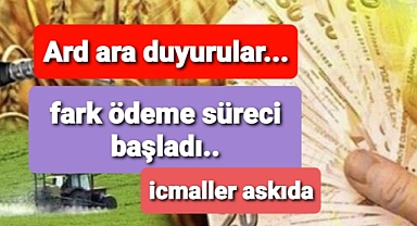 Askı İcmali
