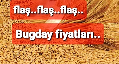 Buğdayrı borsalarda bu fiyatlarla işlem gördü.