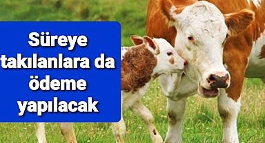 süreye takılanlara da destek verilecek...