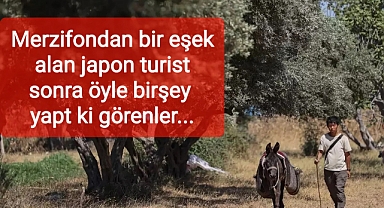 Eşekler duygusal