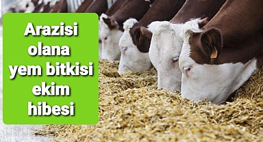 Arazisi bulunanlara yem bitkisi ekimi desteği..