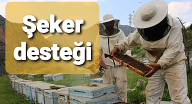 Arıcılara şeker desteği