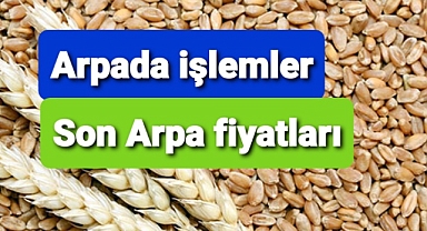 Borsalarda son arpa fiyatları