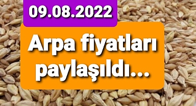 Arpa fiyatları borsalarda bu şekilde işlem gördü