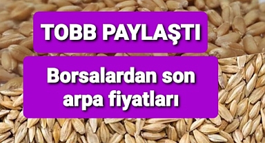 Arpa fiyatları borsalarda bu şekilde işlem gördü