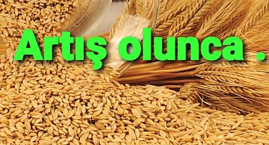 Artış olunca bu yöntemi geliştirdiler