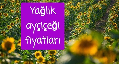 Ayçiçeği fiyatları paylaşıldı