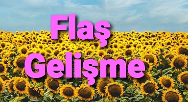 Ayçiçeği ile ilgili flaş gelişme