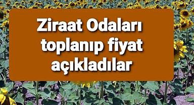 Ayçiçek maliyet ve taban fiyatı açıkladılar..