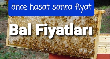 Bal fiyatları açıklandı