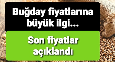 borsa borsa fiyatlar..