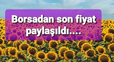 Borsada ayçiçeği işlem görmeye başladı