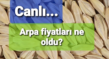 BORSALARDA ARPA FİYATLARI NE OLDU?
