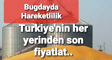 Borsalarda buğday hareketliliği