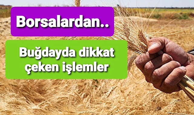 Borsalarda son paylaşılan fiyatlar