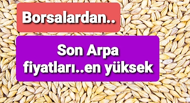 Borsalarda son arpa fiyatları