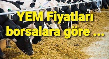 Borsalarda Yemlik fiyatlar