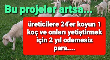 Bu projeler artsa.. Üreticilere koyun, koç ve para...
