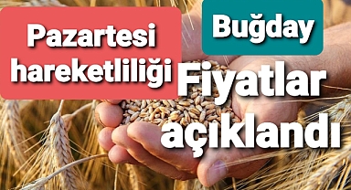 Buğday fiyatları haftaya böyle başladı
