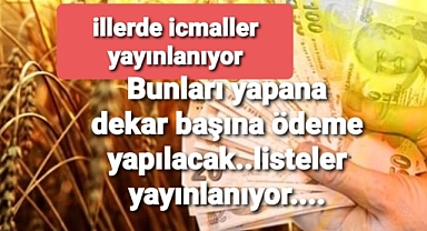 Bunu yapana dekar başına para ödemesi..