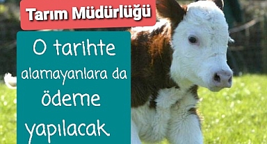 Buzağı desteğinde 2021 de dahil dildi