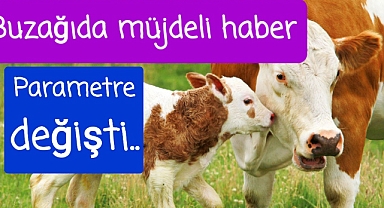 Buzağı desteğinde parametre değişti..