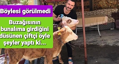 Buzağısını bunalimdan çıkarmak için ...
