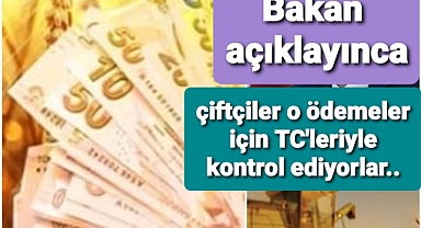Çiftçiler TC numaralarıyla destek ödemelerini kontrol ediyorlar