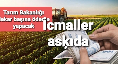 Çok sayıda ilde icmaller askıya çıktı..
