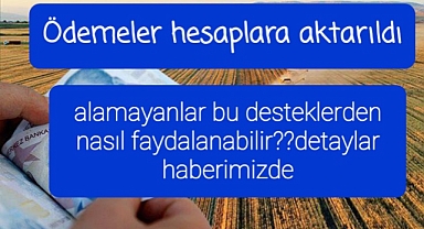 Destek almak için ne yapmak gerekir