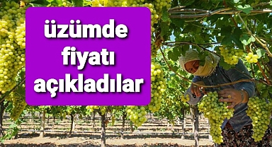 Erkenci üzümde fiyat belli oldu