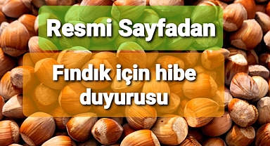 Fındık için hibe duyurusu