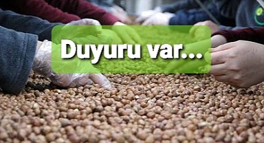 Fındıkçılara duyuru