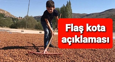 Fındıkta flaş kota açıklaması