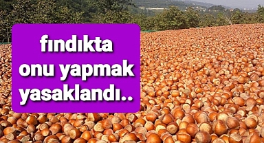 Fındıkta onu yapmak yasaklandı