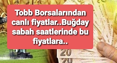 Gemiler yola çıktı borsada fiyatlar nasıl