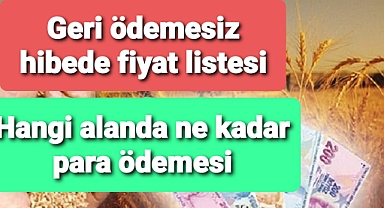 Geri ödemesiz hibede fiyat listesi yayınlandı