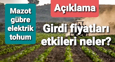 Girdi fiyatları sofraya nasıl yansıyor...