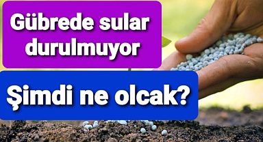 Gübrede sular durulmuyor