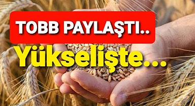 Güncel Arpa satış fiyatları