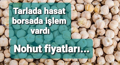 HASAT BAŞLARKEN BORSALARDA NOHUT FİYATLARI