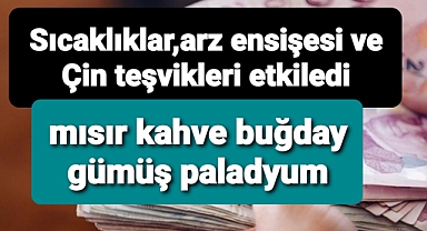 Hava sıcaklıkları, arz endişeleri ve Çin'in teşvikleri emtia piyasasında ibreyi yukarı çevirdi