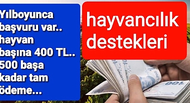 Hayvan sahiplrine ödenen destekler