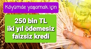 hayvancılığa 250.000 TL' ye kadar faizsiz kredi