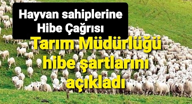 Hayvancılık hibeleri için