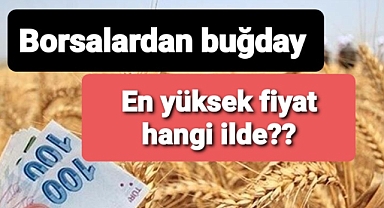 İl il fiyatlar en yüksek satış hangi ilde oldu..