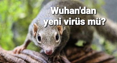 Koronanın yayıldığı Çin'in Wuhan kendinden yenibir vrüs daha