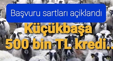 Küçükbaş hayvancılığa kredi